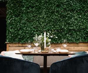 Place setting with candle beneath green wall