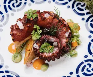 Octopus