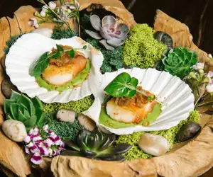 Mama Delia Scallops