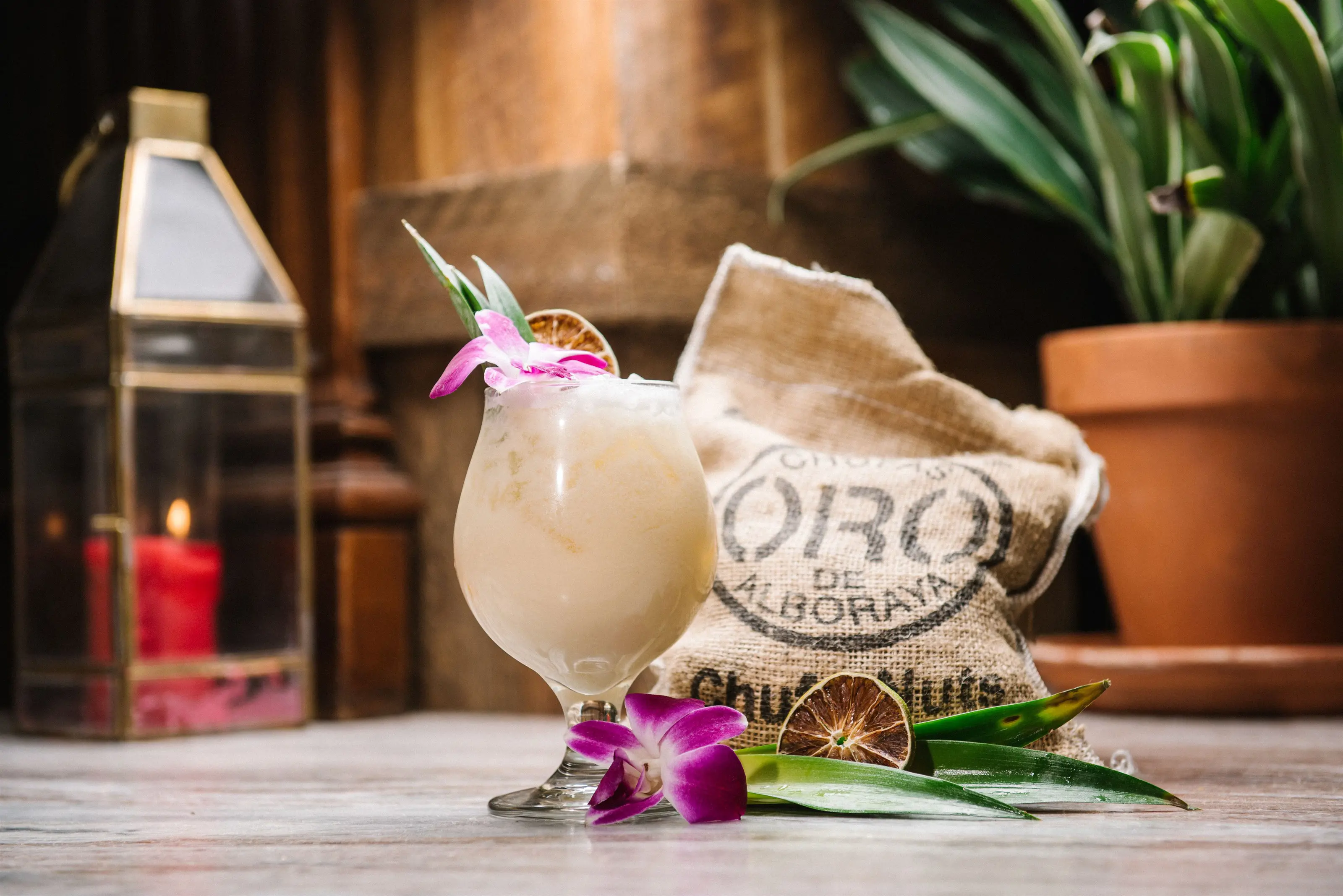 Cocktail with orchids